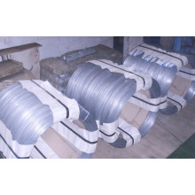 Electro or Hot Dipped Galvanized High Carbon Steel Wire